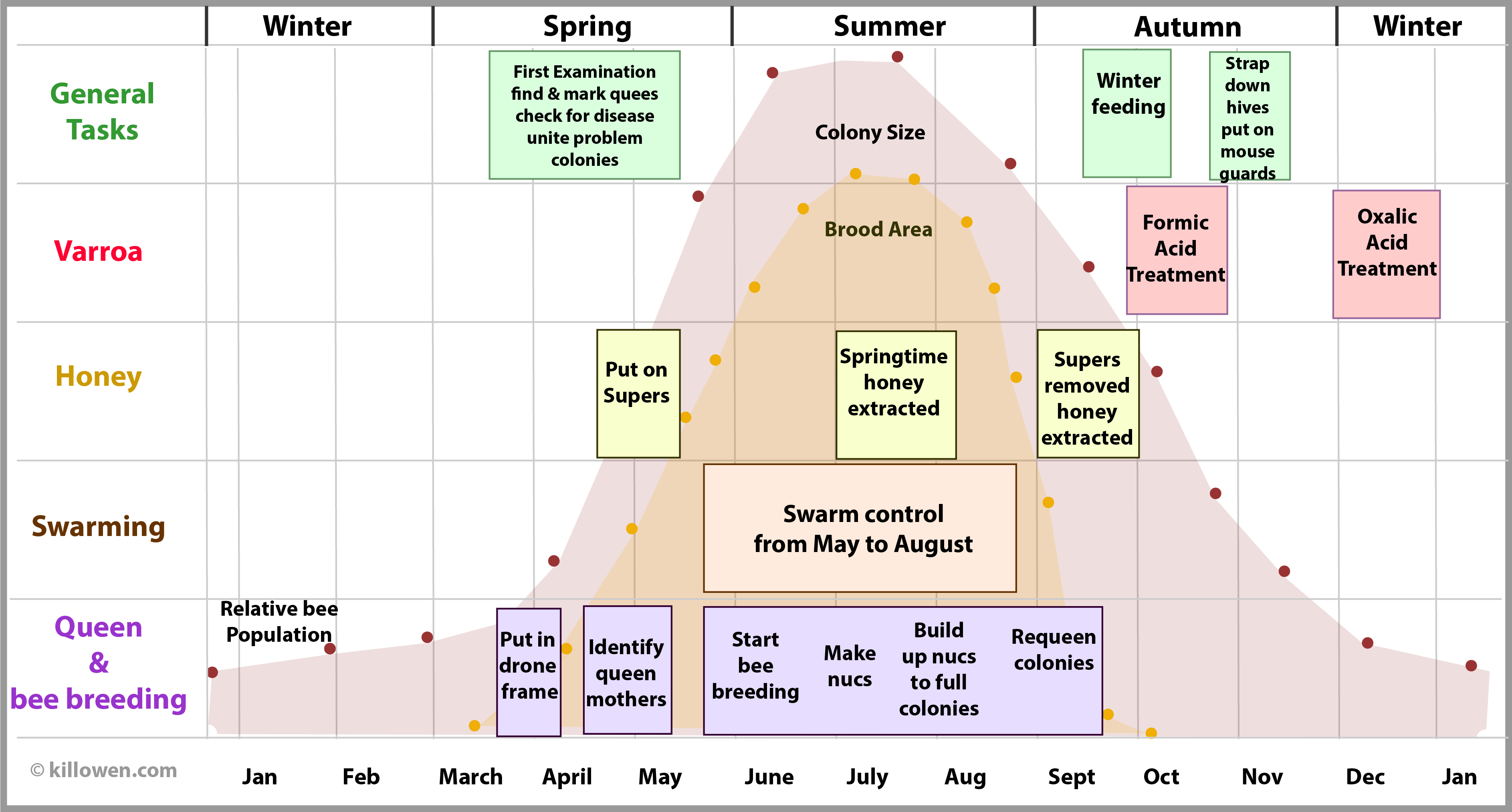 annual timetable